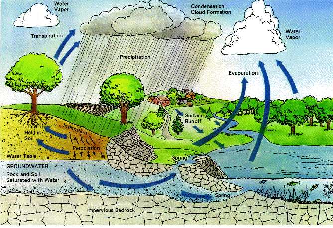 Water Conservation Water Conservation