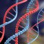 dna-profiling-dna-forensics