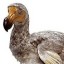 A particularly tasty looking extinct animal - The Dodo
